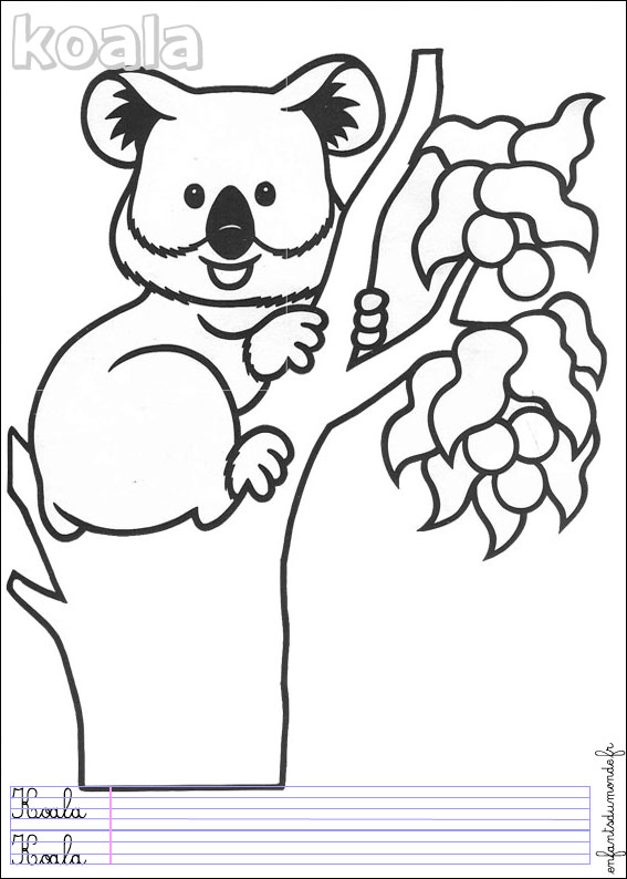 coloriage koala 1